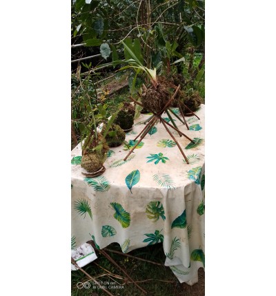 Kokedamas posés zerbe de l'eau et plantes à fleurs
